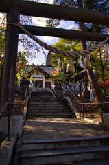 秋の神社　