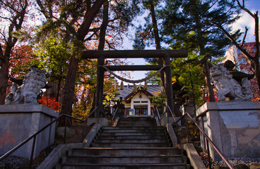 秋の神社　