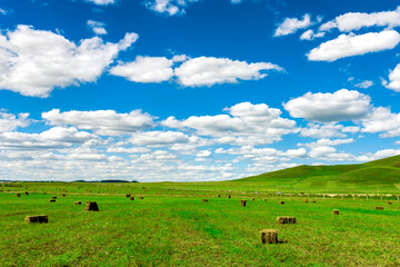 Beautiful blue sky and white clouds on the grassland