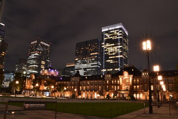 Fototapeta na wymiar The night view of Tokyo in Japan