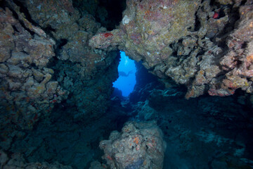 Fototapeta na wymiar A diver swims through an underwater cave on the reef