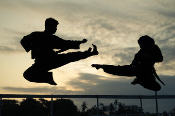 silhouettes of two fighters with kicks drifting in the sunset background