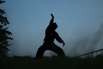 silhouette of male fighter with front stance movement on dark blue sky background