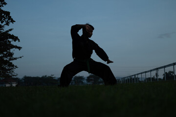 silhouette of male warrior with low stance movement on dark blue sky background