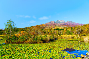 【紅葉イメージ】いもり池から眺める妙高山