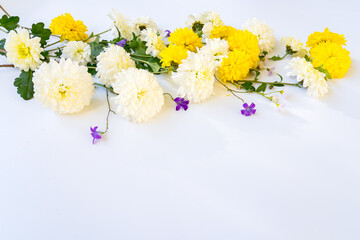 Fototapeta na wymiar Bouquet of autumn yellow and white chrysanthemums on a white background with copy space