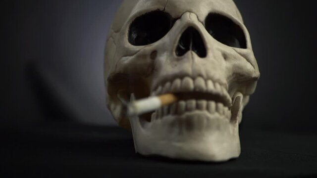 Human skull with cigarette on dark background medium panning shot