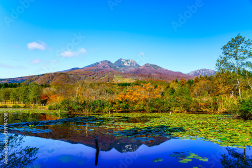 紅葉イメージ いもり池から眺める妙高山 Wall Mural Fotravel