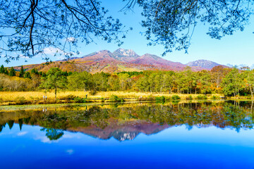 紅葉イメージ いもり池から眺める妙高山 Wall Mural Fotravel 紅葉イメージ いもり池から眺める妙高山 Wall Mural Fotravel