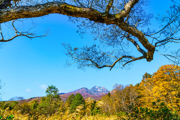 【紅葉イメージ】いもり池から眺める妙高山