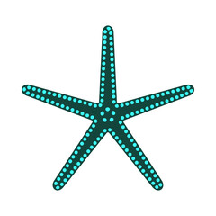Starfish icon isolated on a white background. Element for your design works. Marine star icon in flat style. Vector illustration.