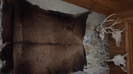 This panning video shows the home of a proud hunter with their taxidermy and fur trophies displayed on their walls. - Powered by Adobe