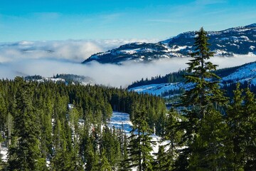 Snowy mountains and hills near Mount Washington, Vancouver Island, British Columbia, Canada 