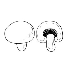 mushrooms champignons half and whole set sketch hand drawn doodle. icon, card, poster, vector, monochrome. food, ingredient.