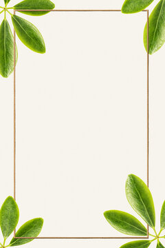 Green leaves with golden rectangle frame