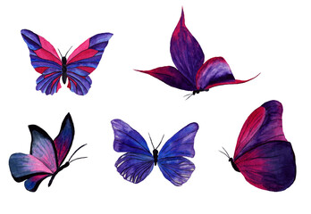 a set of lilac, purple, and blue butterflies. top and side view. watercolour. Bitmap illustration isolated on a white background