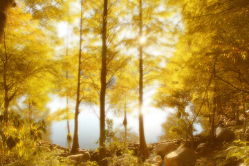 Fototapeta na wymiar Golden woods in autumn morning