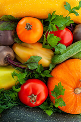 Vegetable background. Food background. Different autumn vegetables. Harvest. Vertical photo.