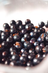 currant in a bowl