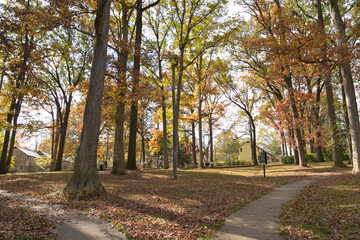 ニューディール政策によって開発されたアメリカの郊外住宅地：グリーンベルトの街並み