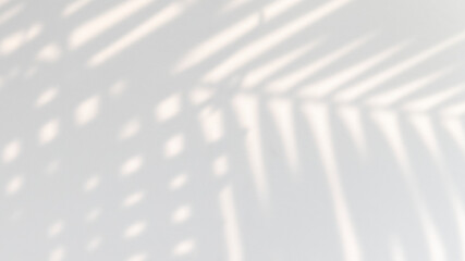 Tropical palm leaves shadow on a white wall