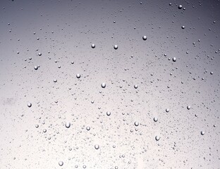 Rain drops on a window. 