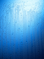 rain drops on window