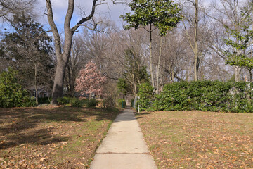 ニューディール政策によって開発されたアメリカの郊外住宅地：グリーンベルトの街並み