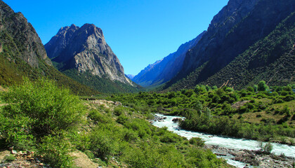 Fototapeta na wymiar Mountain stream close-up, beautiful valley scenery