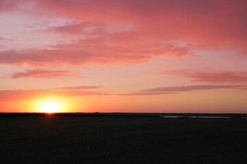 Obraz premium Picturesque view of beautiful field at sunrise