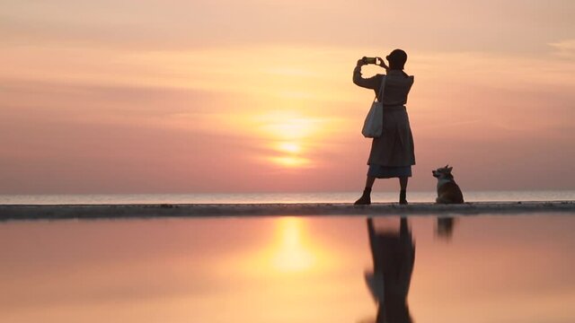 woman taking photo and standing with corgi dog on sea beach during evening sunset spbi. Back view of American Young female takes picture of golden sundown and admires natural views, cute pet sits on