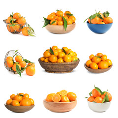 Set of fresh ripe tangerines on white background
