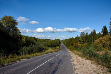 Fototapeta na wymiar Asphalt road in the countryside