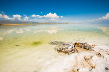 Salt Lake scenery close-up photo