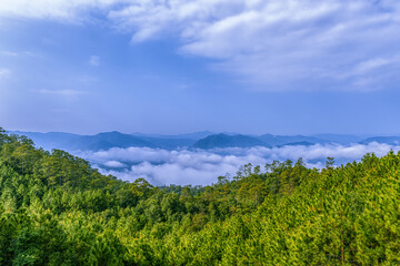 Fototapeta na wymiar Sea of ​​clouds in the mountains