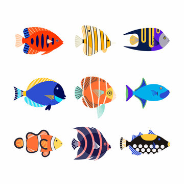 Vector illustration icon set of of cute cartoon colorful different aquarium fish. Underwater life. Sea world. Flat icons.