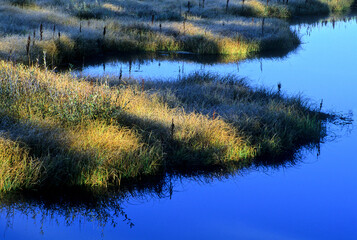 476-50 Light Streaks in Grasses Along the Gardner River