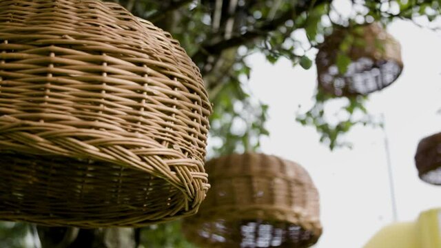 Slow motion tree hanging decoration. Wicker basket lamp