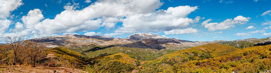 Fototapeta na wymiar Panoramic view of the mountains of Serrania de Ronda and the chestnut forest in autumn. Trekking route, scenic, around the villages of Parauta, Cartajima and Igualeja in Malaga, Spain