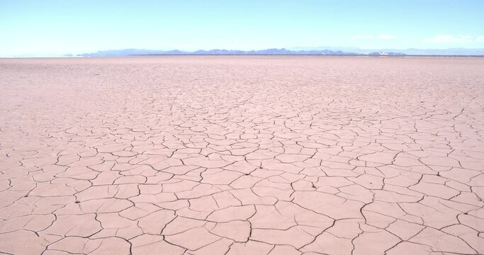 Delta Region Of The Colorado River In Baja California, Mexico