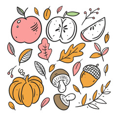 Autumn food elements set. Line art colorful style.