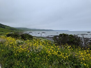 Lost Coast California