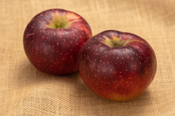 林檎 秋映【秋の味覚】