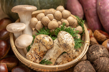 キノコと秋野菜【秋の味覚】