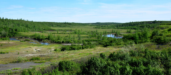 Fototapeta na wymiar tundra landscape with river