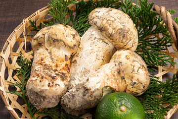 松茸【秋の味覚】