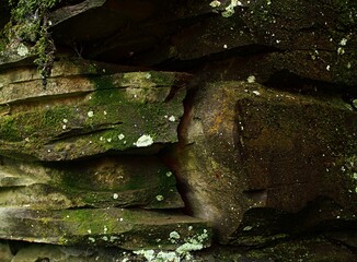 stone wall with moss