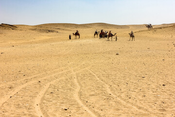 Fototapeta na wymiar Egypt, Giza - Excursion to the desert. Vacation to Africa.