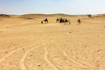 Egypt, Giza - Excursion to the desert. Vacation to Africa.