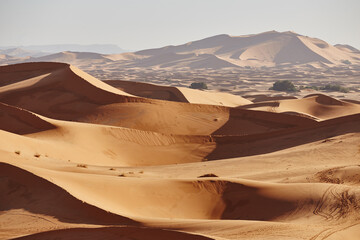 Naklejka na ściany i meble Endless Sands of the Sahara desert. Beautiful sunset over sand dunes of Sahara Desert Morocco Africa